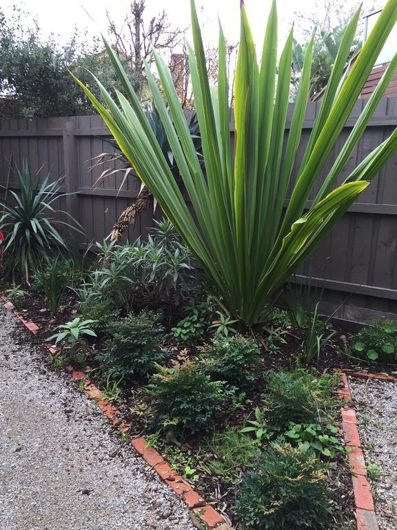 Garden Cottage St Kilda Melbourne Dış mekan fotoğraf